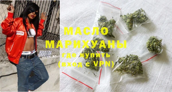 амф Ельня