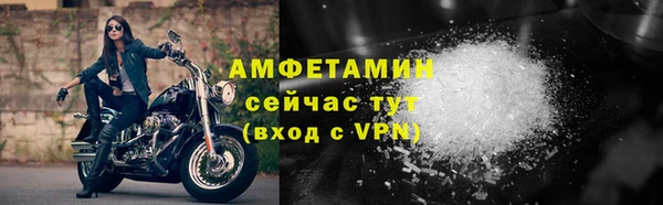 амф Ельня