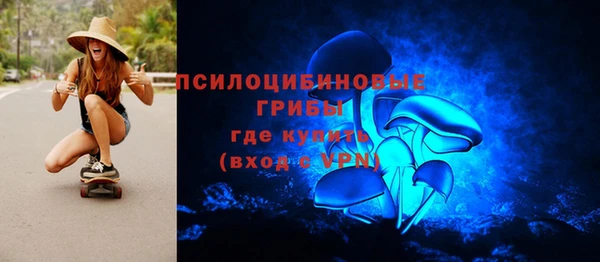 МДПВ Елизово