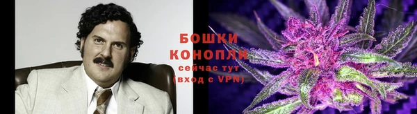 МДПВ Елизово