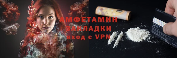 амф Ельня