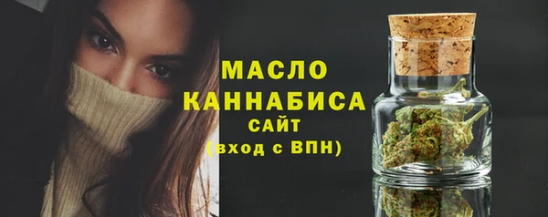 амф Ельня