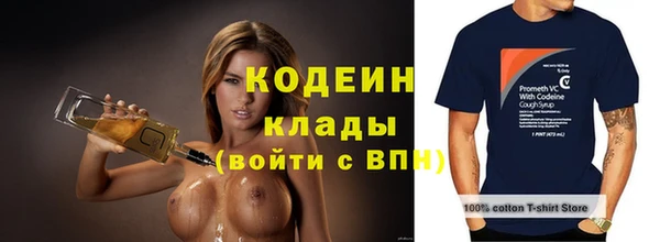 амф Ельня