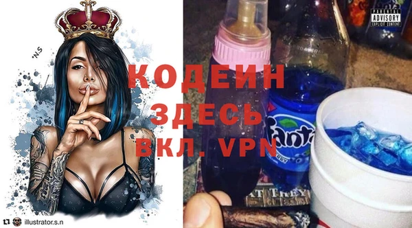 МДПВ Елизово