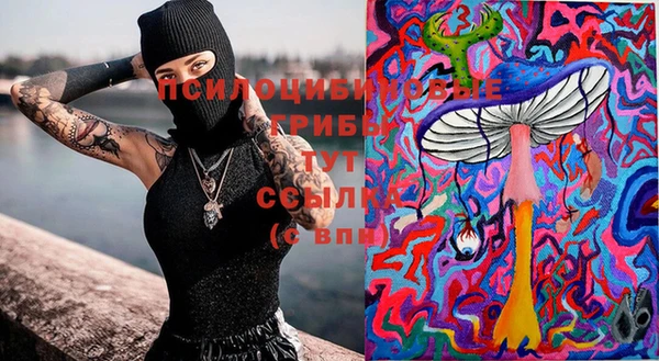 амф Ельня