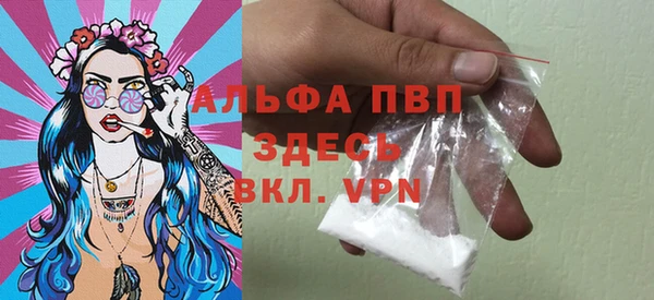 амф Ельня