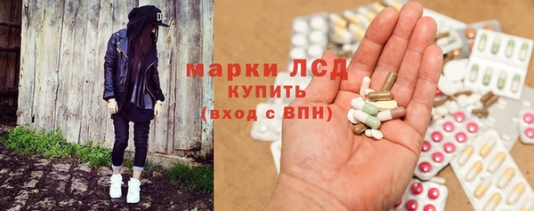 амф Ельня