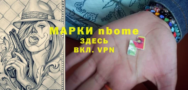амф Ельня