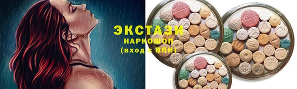 амф Ельня