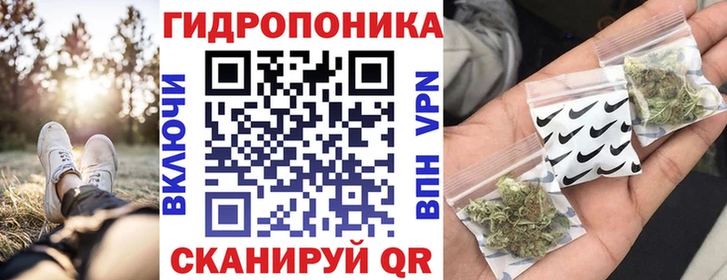 Марихуана план  Купить  Кинель 